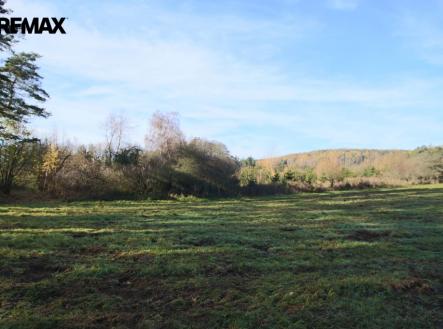 Prodej pozemku, les, 19 636 m²