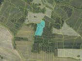 Prodej pozemku, les, 19 636 m²