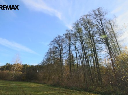 Prodej pozemku, les, 19 636 m²
