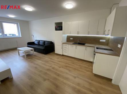 Pronájem bytu, 1+kk, 45 m²