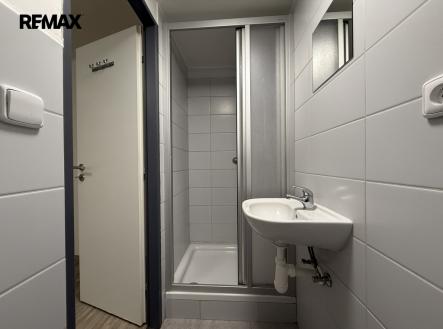 Pronájem bytu, 1+kk, 15 m²