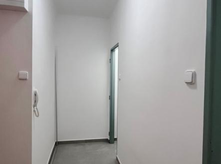 Pronájem bytu, 1+1, 40 m²