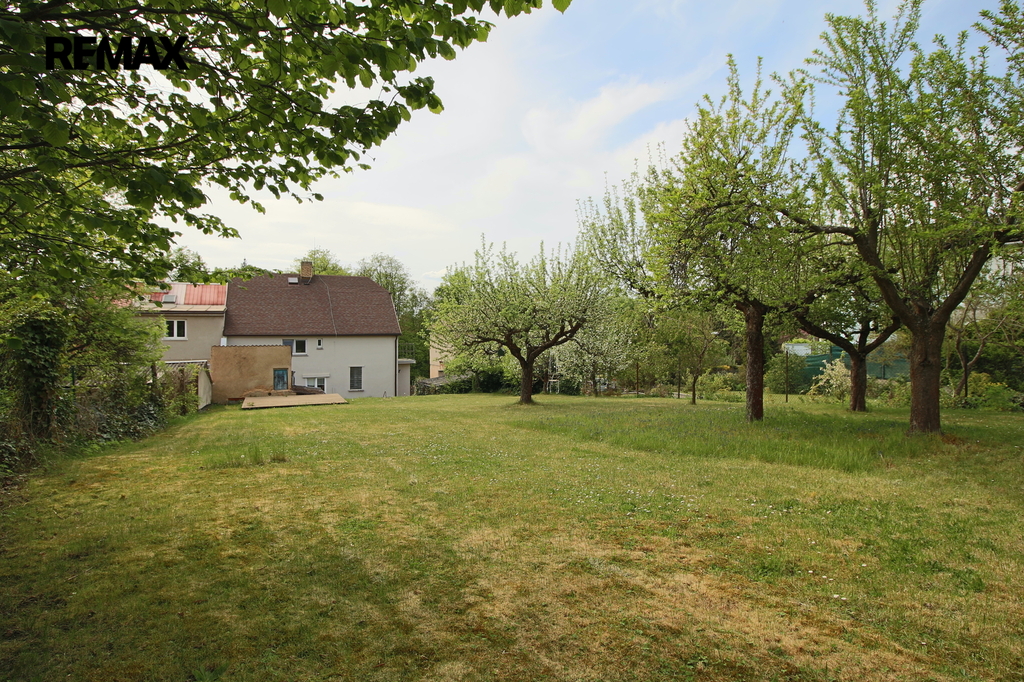 img-1401.jpg