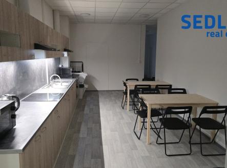 Pronájem - hotel, 480 m²