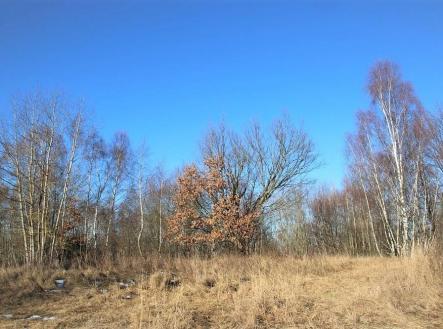 Prodej - pozemek, trvalý travní porost, 5 641 m² obrázek