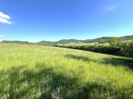 Prodej - pozemek, zemědělská půda, 9 431 m²