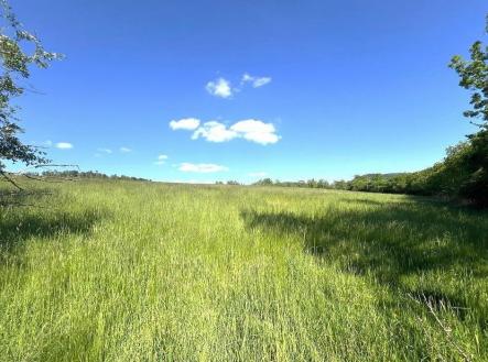 Prodej - pozemek, zemědělská půda, 9 431 m²