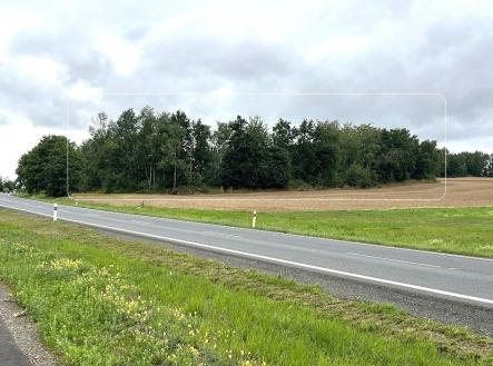 Prodej pozemku, les, 7 830 m²