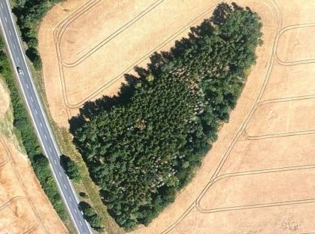 Prodej pozemku, les, 7 830 m²