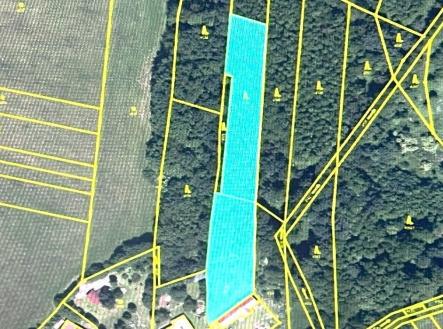 Prodej pozemku, les, 3 954 m²