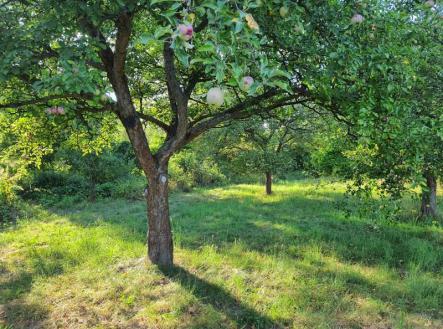 Prodej - pozemek pro bydlení, 1 177 m² obrázek