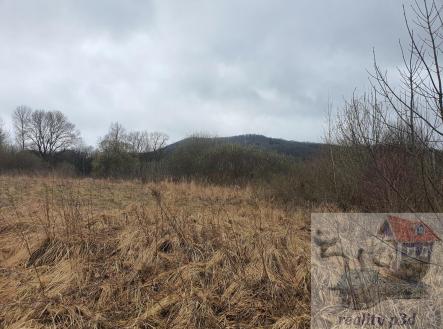 Prodej pozemku, trvalý travní porost, 2 105 m²