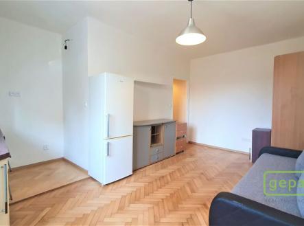 Pronájem bytu, 1+kk, 25 m²