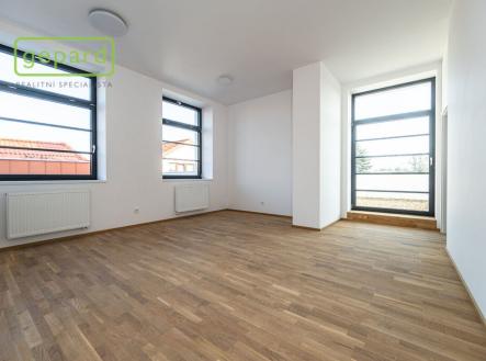 Prodej bytu, 4+kk, 95 m²