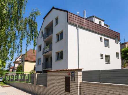 Prodej bytu, 6+1, 177 m²