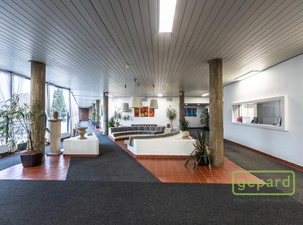 Pronájem kanceláře, 653 m²