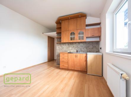 Prodej bytu, 1+kk, 17 m²