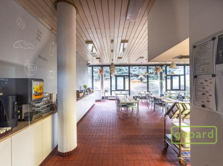 Pronájem kanceláře, 213 m²