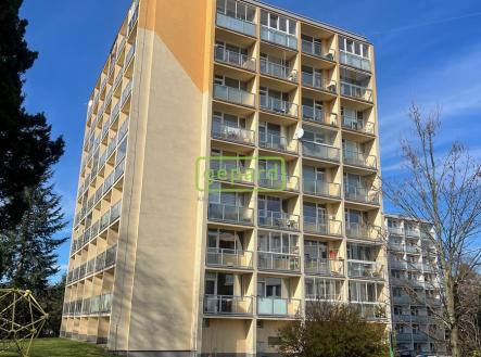 Pronájem bytu, 1+kk, 30 m²