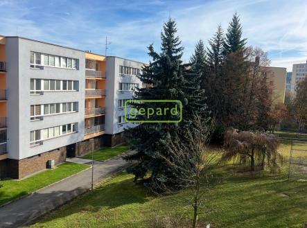 Pronájem bytu, 1+kk, 30 m²