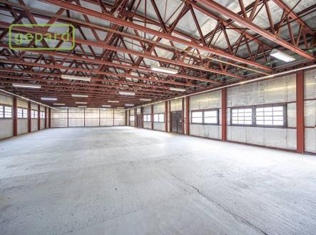 Pronájem obchodní prostor, 700 m²