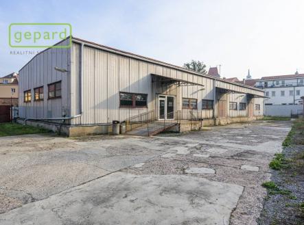 Pronájem obchodní prostor, 700 m²