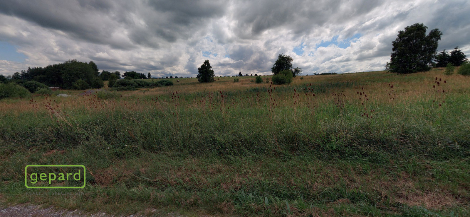 foto-panorama-1.png