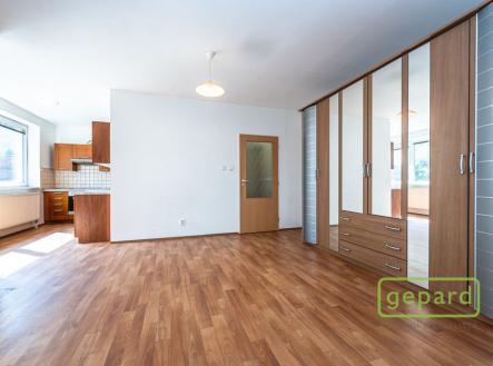 Pronájem bytu, 1+kk, 43 m²