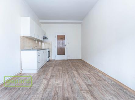 Pronájem bytu, 1+1, 53 m²