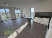 Pronájem bytu, 1+kk, 50 m²