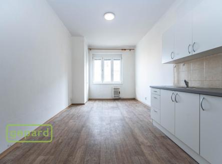Pronájem bytu, 1+1, 53 m²