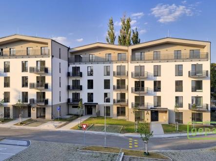 Pronájem bytu, 2+kk, 65 m²