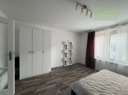 Pronájem bytu, 1+1, 45 m²
