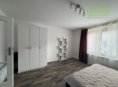 Pronájem bytu, 1+1, 45 m²