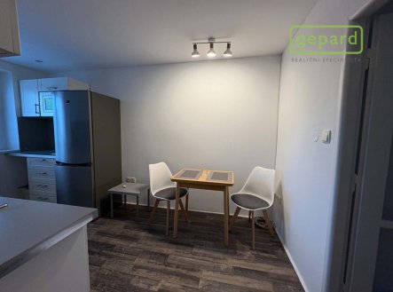 Pronájem bytu, 1+1, 45 m²