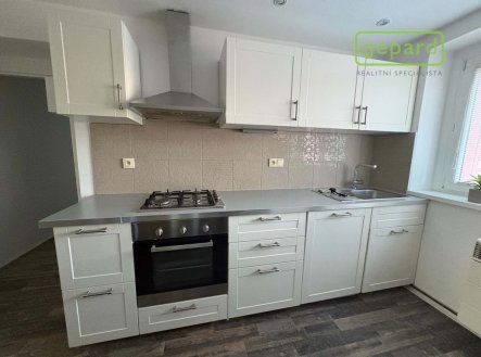 Pronájem bytu, 1+1, 45 m²