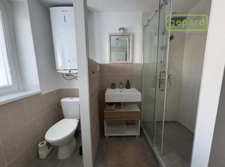Pronájem bytu, 1+1, 45 m²