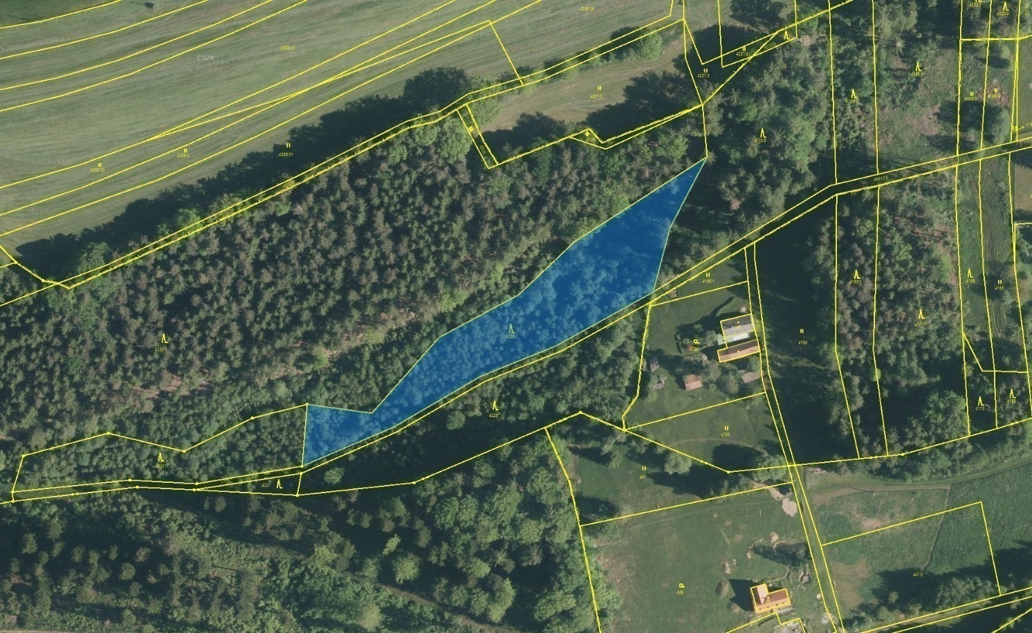 Lesní pozemek o výměře 5 935 m2, podíl 1/1, k.ú. Svatý Jan nad Malší, okres České Budějovice