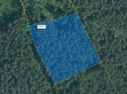 Prodej - pozemek, les, 8 431 m²