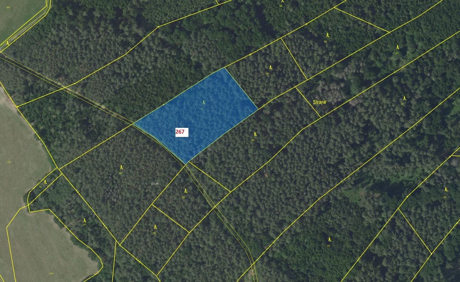 Lesní pozemek o výměře 7 127 m2, podíl 1/1, k.ú. Štěpánovice u Tišnova, okres Brno-venkov