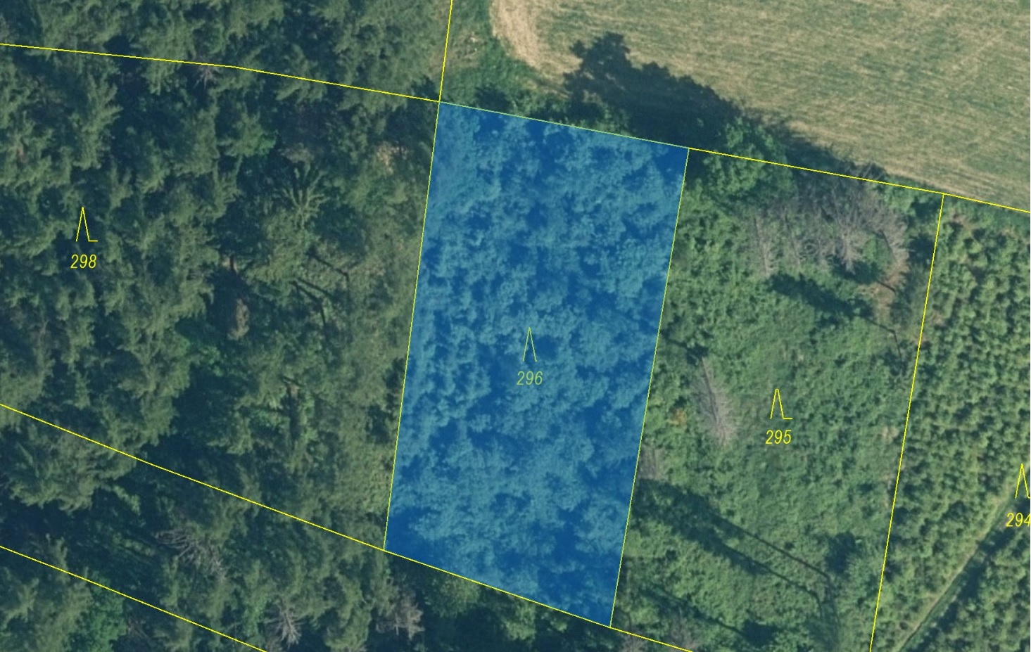Lesní pozemek o výměře 1 626 m2, podíl 1/1, k.ú. Kovčín, okres Klatovy
