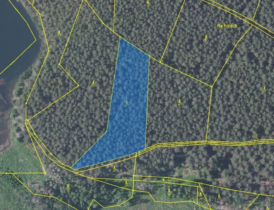 Lesní pozemek o výměře 5 980 m2, podíl 1/1, k.ú. Němčice u Dolních Kralovic, okres Benešov