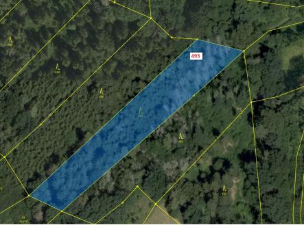 Prodej - pozemek, les, 4 276 m²