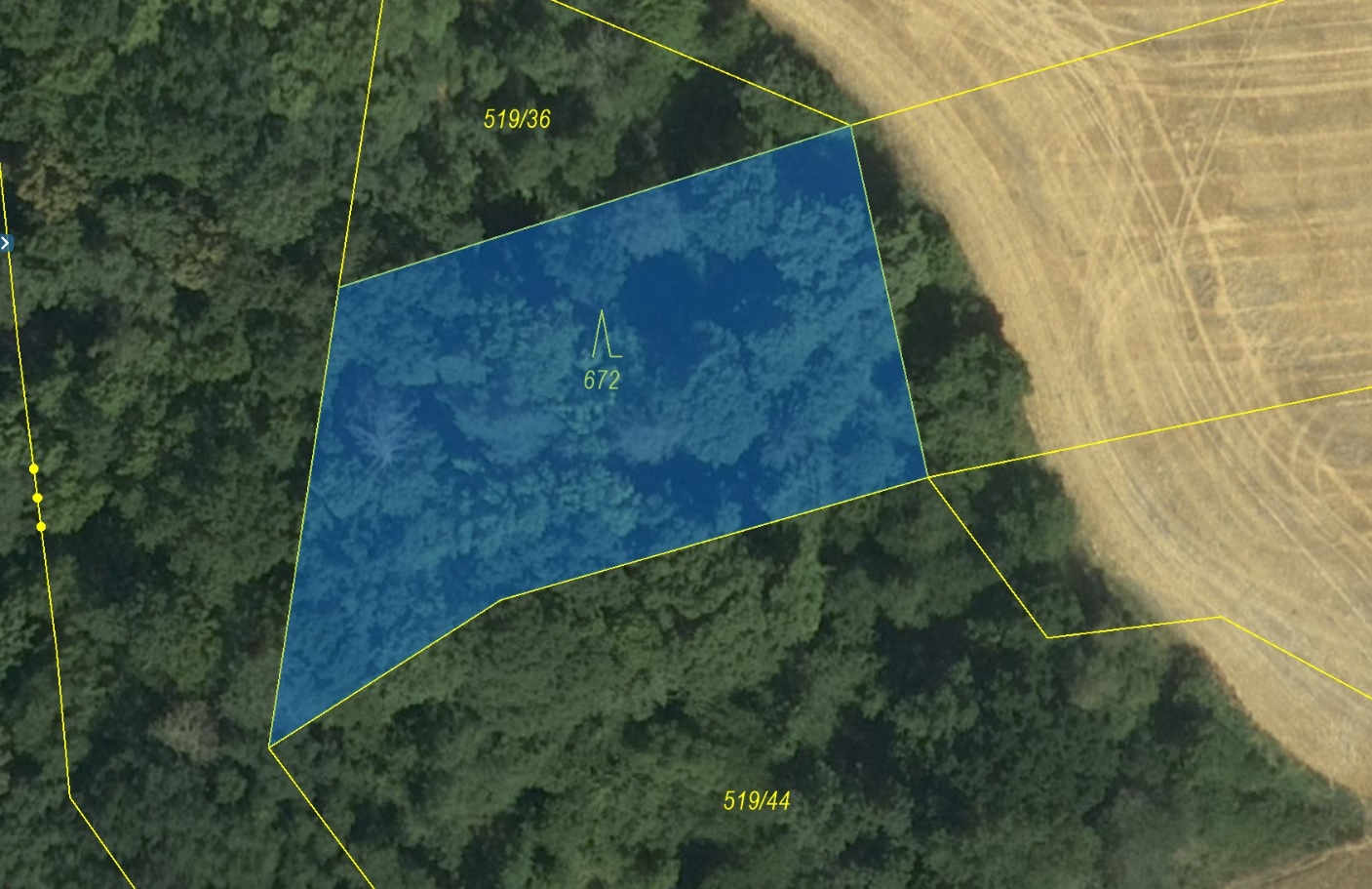 Lesní pozemek o výměře 1 658 m2, podíl 1/1, k.ú. Obora u Boskovic, okres Blansko