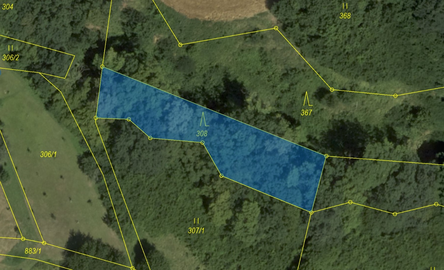 Lesní pozemek o výměře 941 m2, podíl 1/1, k.ú. Obora u Boskovic, okres Blansko