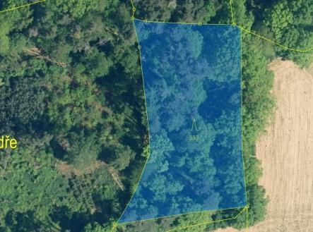 Prodej - pozemek, les, 2 226 m²