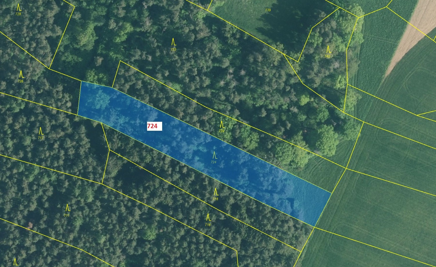Lesní pozemek o výměře 3 381 m2, podíl 1/1, k.ú. Netonice, okres Strakonice