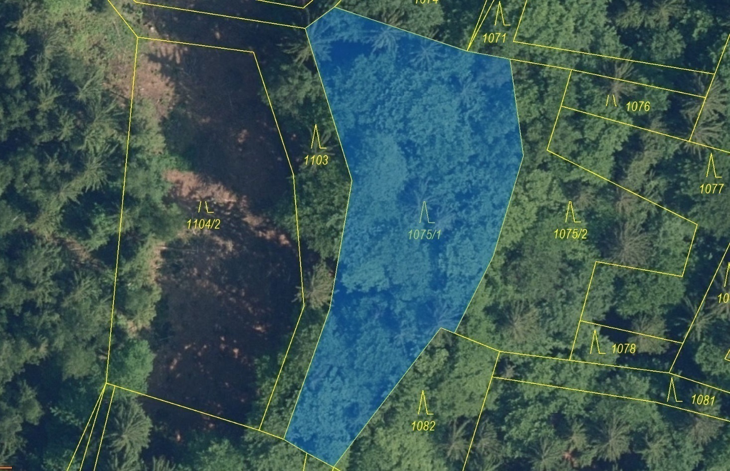 Lesní pozemek o výměře 1 749 m2, podíl 1/1, k.ú. Křížlice, okres Semily
