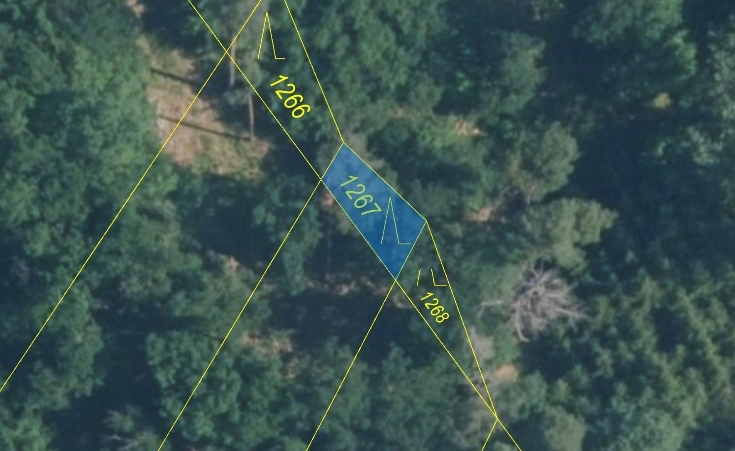 Lesní pozemek o výměře 45 m2, podíl 1/1, k.ú. Všechovice u Tišnova, okres Brno-venkov