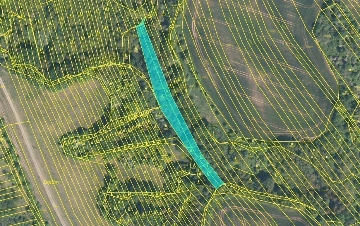 Lesní pozemky o výměře 2 771 m2, podíl 1/1 , k.ú.    Jalubí, okres Uherské Hradiště